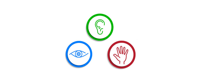 Stratégies d’apprentissage : comment développer nos sens pour mieux percevoir l’information…