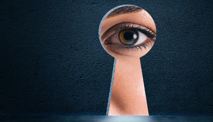 De la curiosité à la compétence