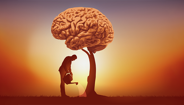 Apprendre et réapprendre à tout âge
