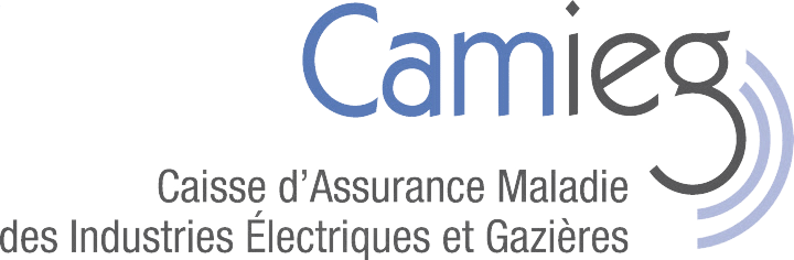 Logo Camieg